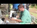 Collecting Sperm And Eggs