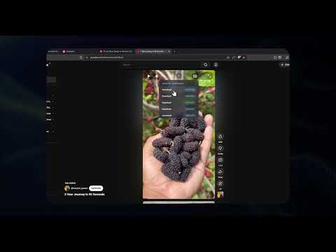 PC Video Downloader - Webvideos unter Windows herunterladen