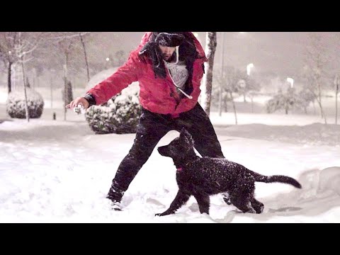 Santaflow ft. Narai, Nenuranks, Ludo, Loza & Marcos El Conde - SIN COMPLEJOS (Videoclip oficial)