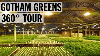 360° Tour of Gotham Greens