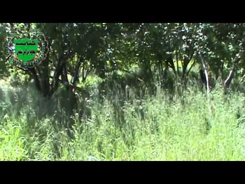 استهداف  قوات النظام بصورايخ غراد في مطار حماة العسكري