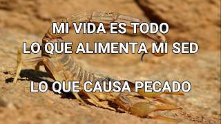 megadeth the scorpion sub esp