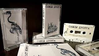 Самцы Дронта - Wild Smile (Lost early 90s russian shoegaze / experimental / dream pop band)