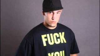 Leifstyle feat. Raptile - Fly