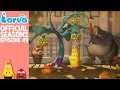 Official Strange Berries Larva Season 2 Episode 49