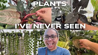 FUN Nursery Tour featuring plants I've never seen before! 🇧🇧