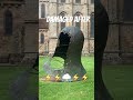 Gigantic Church Bell 🔔