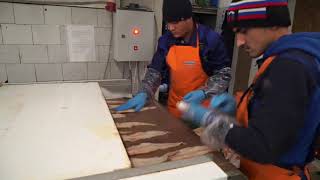 Поставщики рыбы и морепродуктов Москва