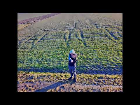 Wiencek - Zmienne zachowanie (Audio)