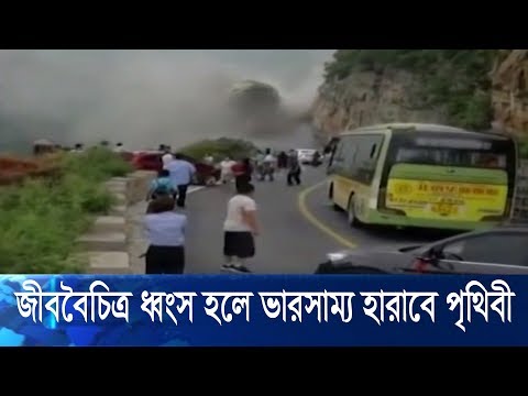 জীব বৈচিত্র্য ধ্বংস হলে ভারসাম্য হারাবে পরিবেশ