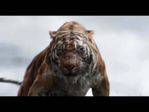 Paze I Anima Mundi I Eclipse