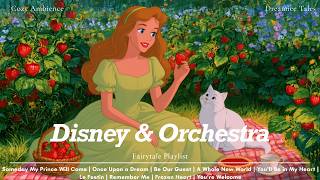 A Sweet Afternoon in the Strawberry Garden | Soft Disney Orchestra Playlist for Stress Relief 🍓