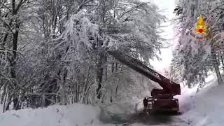 rami-pericolanti-e-auto-in-panne-sul-laceno