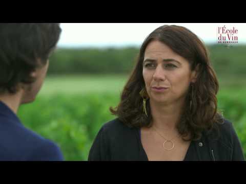 The Bordeaux 1855 classification