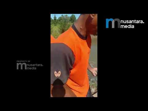 Warga Panimbang Gotong Royong Perbaiki Jembatan Ambruk, Tunggu Respons Pemerintah
