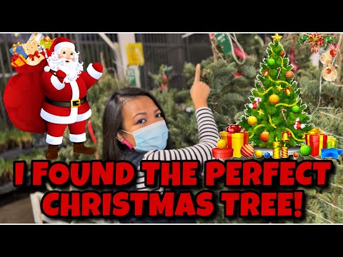 BUYING CHRISTMAS TREE AT SUPERMARKET IN LOS ANGELES