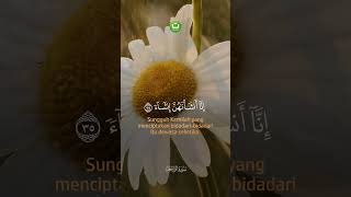 Download lagu Tadabbur Surah Al-Waqi’ah – Golongan Kanan (Ashabul Yamin) mp3