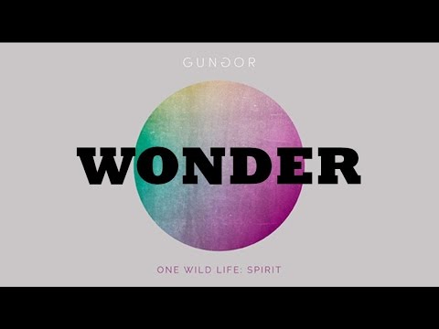 Thumbnail for Wonder video