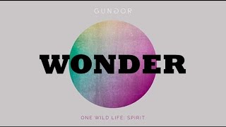 Wonder