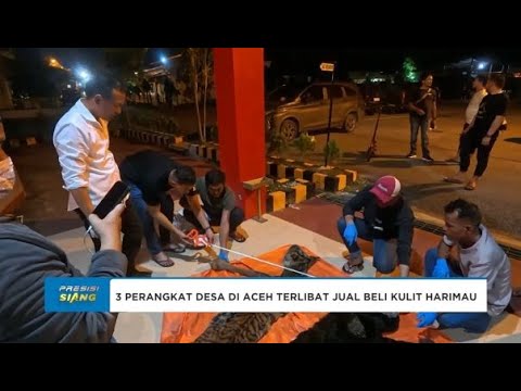 3 PERANGKAT DESA DI ACEH UTARA DITANGKAP TERKAIT JUAL BELI KULIT HARIMAU