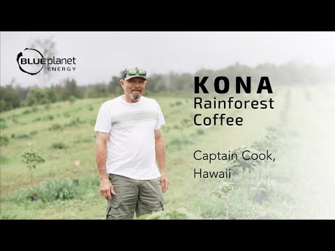 Kona Rainforest Coffee Maximizes Savings and Sustainability