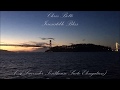 Chris Botti - Irresistible Bliss (A Lavender Hill Penthouse Suite Elongation)