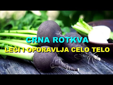 CRNA ROTKVA - LEČI i OPORAVLJA CELO TELO