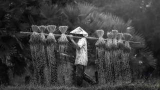 Best of Onra | Trip-Hop &amp; Hip-Hop Instrumental