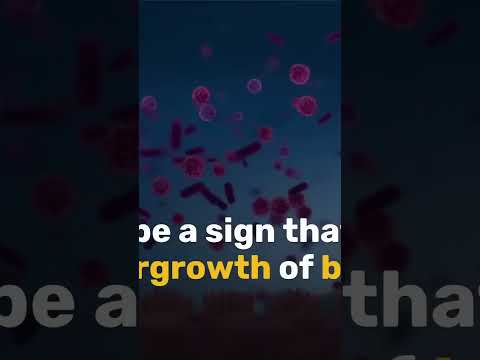 Uncovering the Surprising Causes of Stomach Bloating