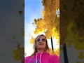 2023 Love Nature Oregon November Subscribe Shorts