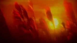 [問題] 靈異漫畫名字