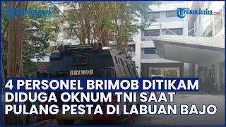 Kronologi 4 Personel Brimob di Labuan Bajo Ditikam Diduga Oknum TNI saat Pulang Pesta
