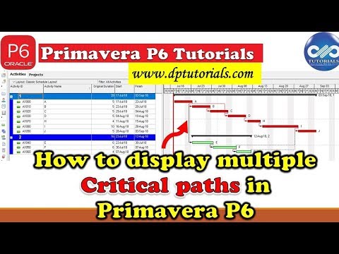 How To Display Multiple Critical Paths In Primavera P6 || Primavera Tips || dptutorials