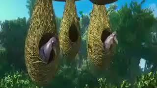 Download lagu Sonu tula mazya var bharosa in dj mp3 Download lagu Sonu tula mazya var bharosa in dj mp3