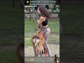 18 AMAZING Animal Clips You MUST See WILD ZOOM Animals Animalshorts Animalclips