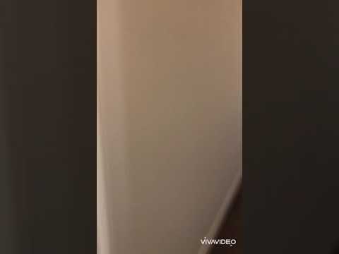 3954 West Pine - Video 2 of 2