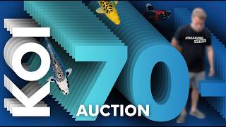 🚨 MEGA LIVE KOI AUCTION! 70+ Premium Fish Must Go! 🎏 | Koi Market