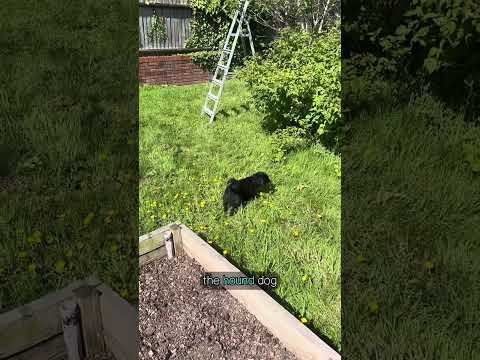 Morning Wander 20/5/2025