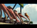 Meeting Nigel Finding Nemo HD