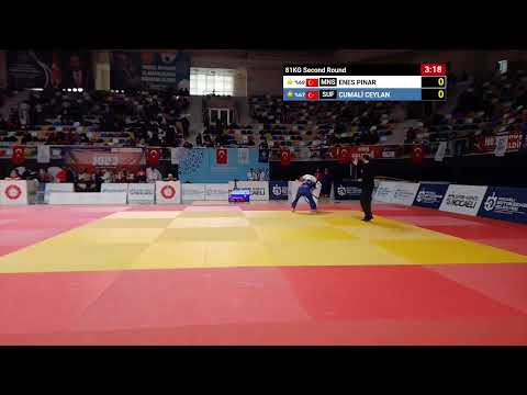 ENES PINAR - CUMALİ CEYLAN