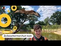 Buizerds vallen op allerlei plekken mensen aan