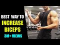GET BIG BICEPS (2 इंच डोले का साइज़ बढ़ाएं) 100%GUARANTEE [HINDI]
