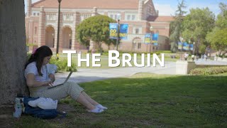 The Bruin