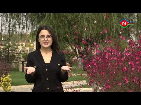 Birlikdə öyrənək - 22.10.2022