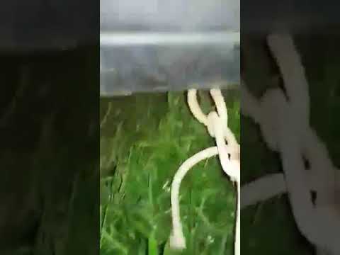 acidente grave em Tijucas do Sul