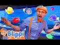 Sea Animals Adventure With Blippi Aquarium Explore For Children Educational Videos For Kids