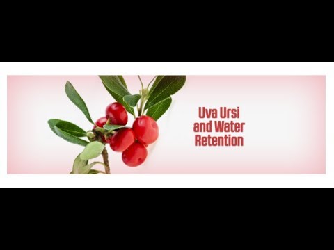 maisto papildai lieknejimui vaistinese - Dha numesti svorio