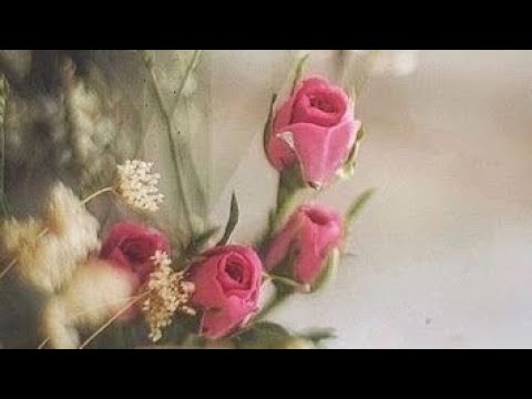 #51. Konačni razvod sa Dželalijom i početak trnovitog puta na drugačiji način.