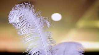 AJMAN wedding 21/12/2017