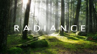 Forest Radiance 4K | Cinematic Short Film